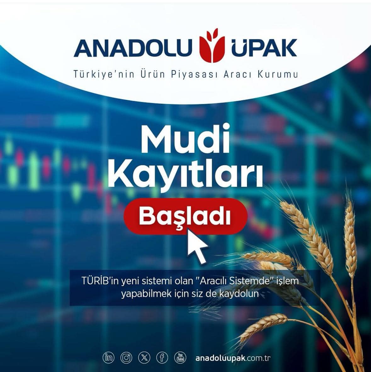 Anadolu ÜPAK Mudi Kayıtları Başladı Anadolu ÜPAK Mudi Kayıtları Başladı